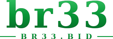 br33 logo